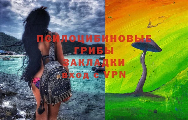 МДПВ Алзамай
