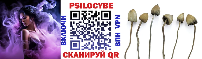 наркошоп  Камбарка  Галлюциногенные грибы Psilocybe 
